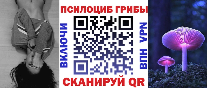 хочу наркоту  Сунжа  Галлюциногенные грибы Psilocybe 